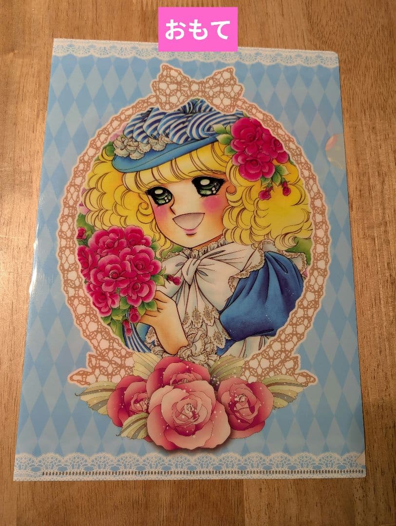 【クリアファイルのおまけ付き】キャンディ・キャンディ 全9巻セット