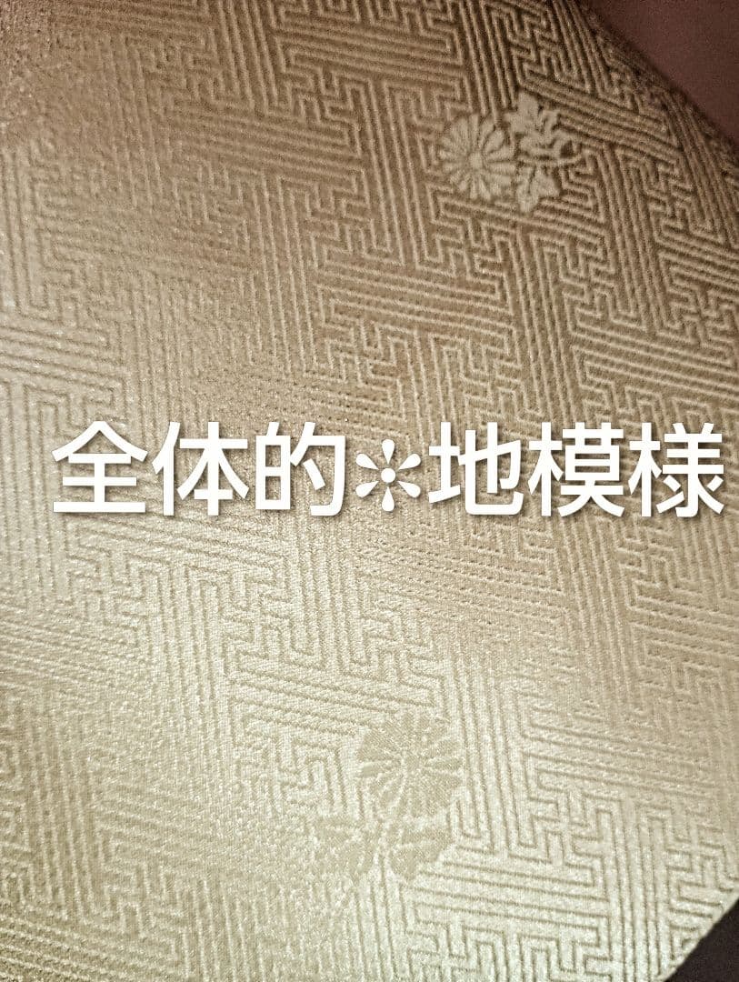 [三松]★金彩♥訪問着♡重ね襟付 【うさぴょん】