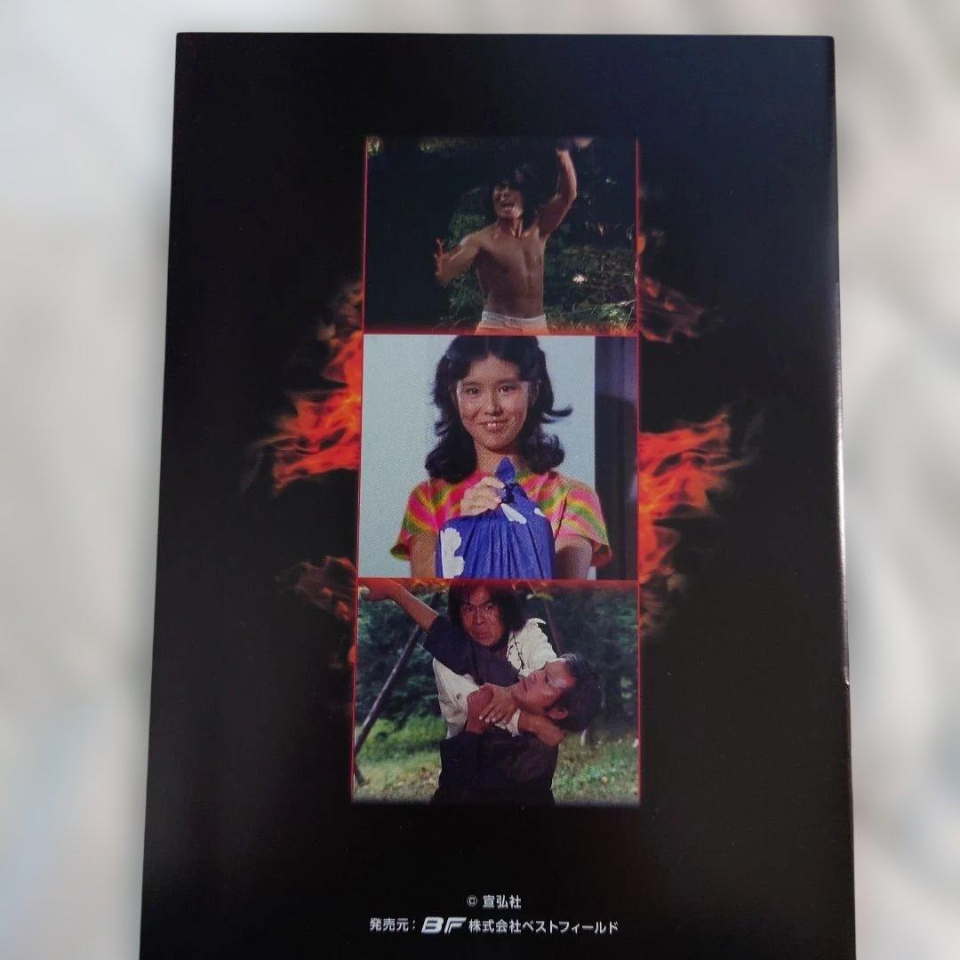 闘え!ドラゴン DVD-BOX