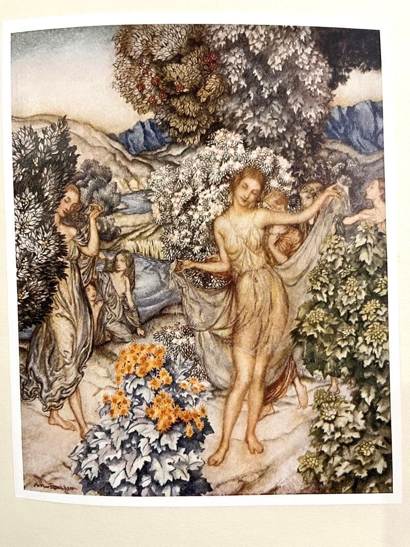 No213レア 超希少 初版　古書　アンティーク 洋書 アーサー·ラッカム