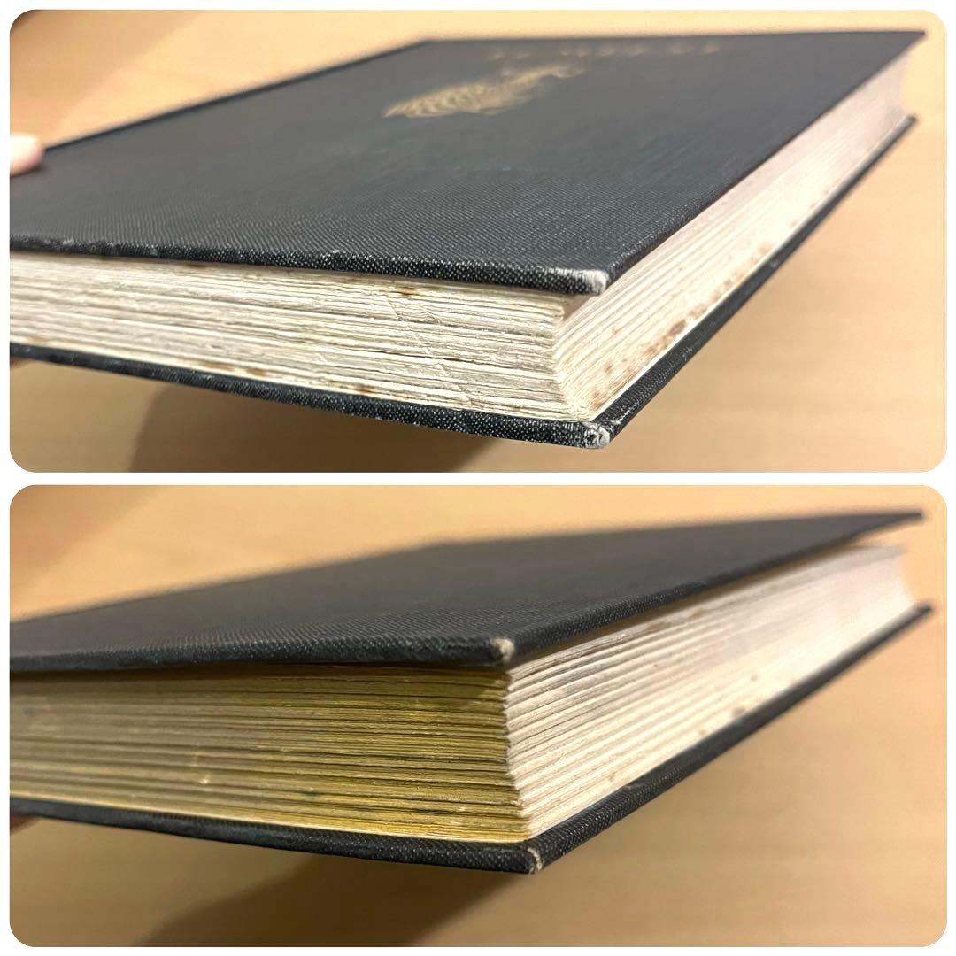 No213レア 超希少 初版　古書　アンティーク 洋書 アーサー·ラッカム