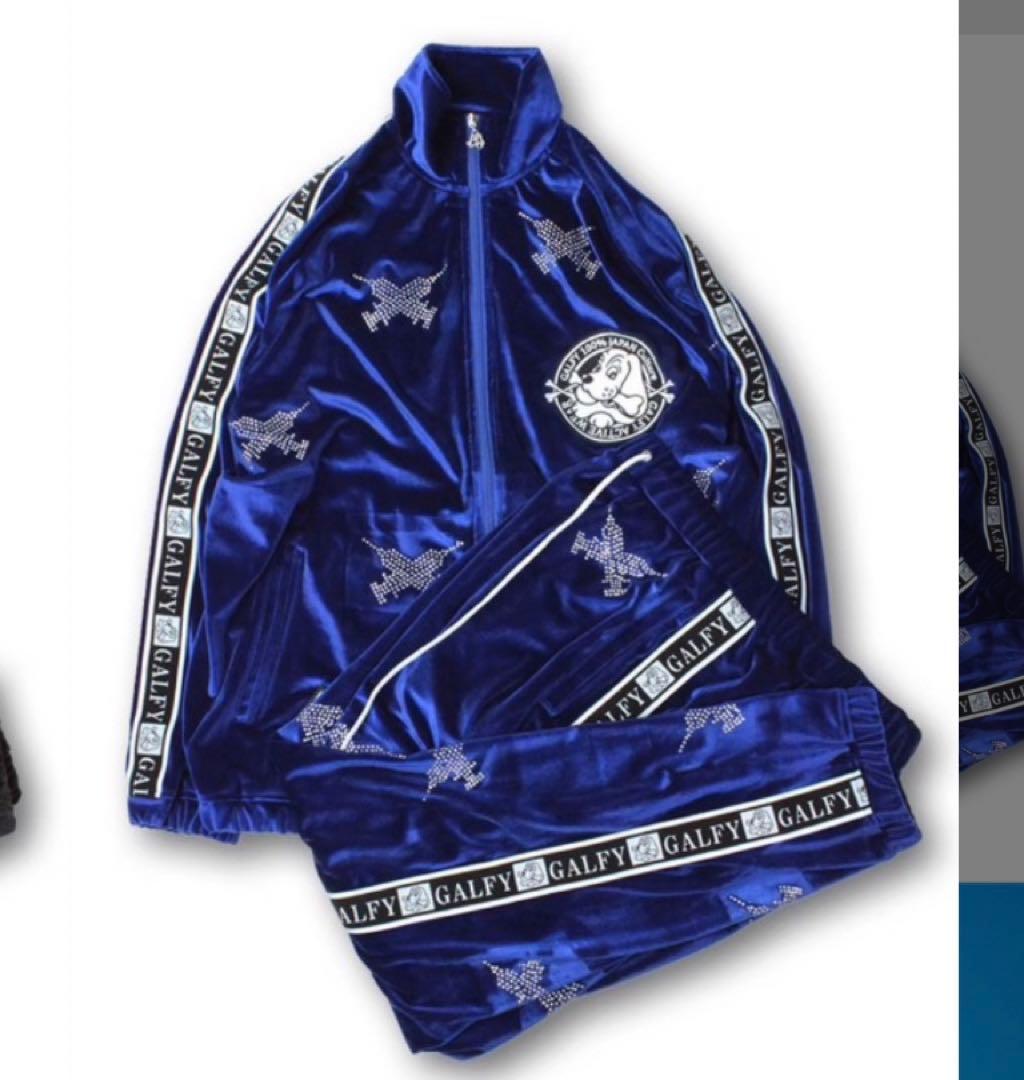 ガルフィー ピカピカ注射器セットアップ 大型犬