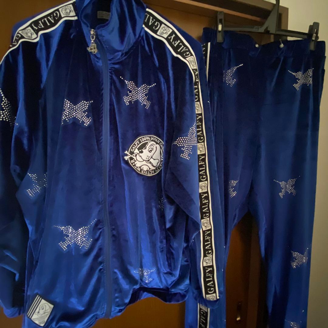 ガルフィー ピカピカ注射器セットアップ 大型犬