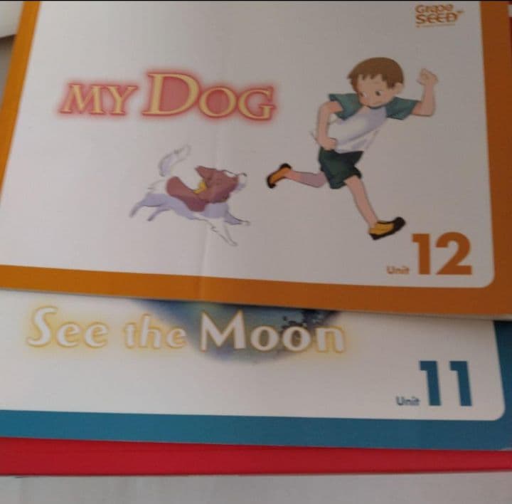 grapeseed English リーディング　フォニックス