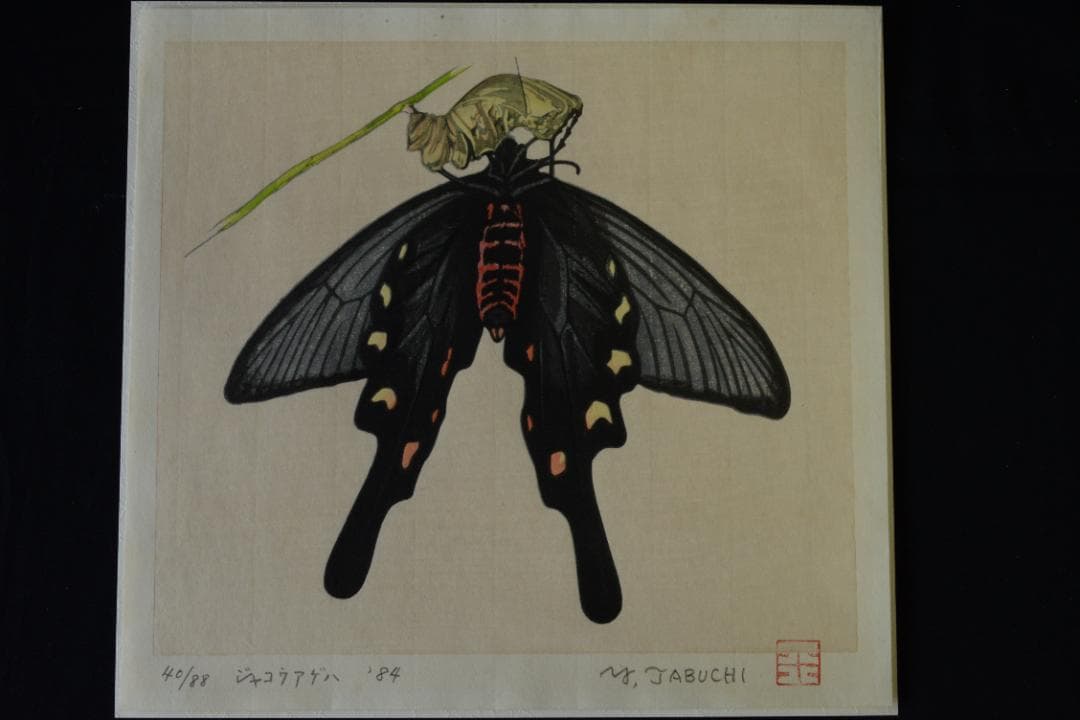 【安曇野の蝶】田淵行男 特装 88部限定版 　★★大幅に値下げしました