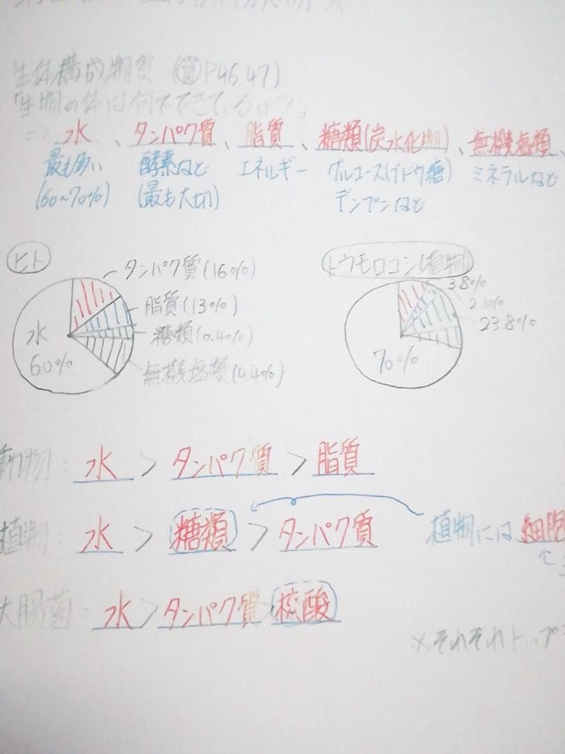 鉄緑会　李先生による生物基礎講座講義ノート集　全セット　駿台　河合塾 　東進