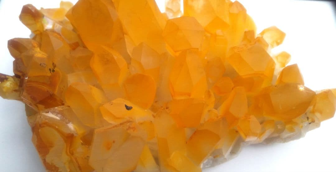 超希少 ゴールデンヒーラー クラスター ギャランティカード付き