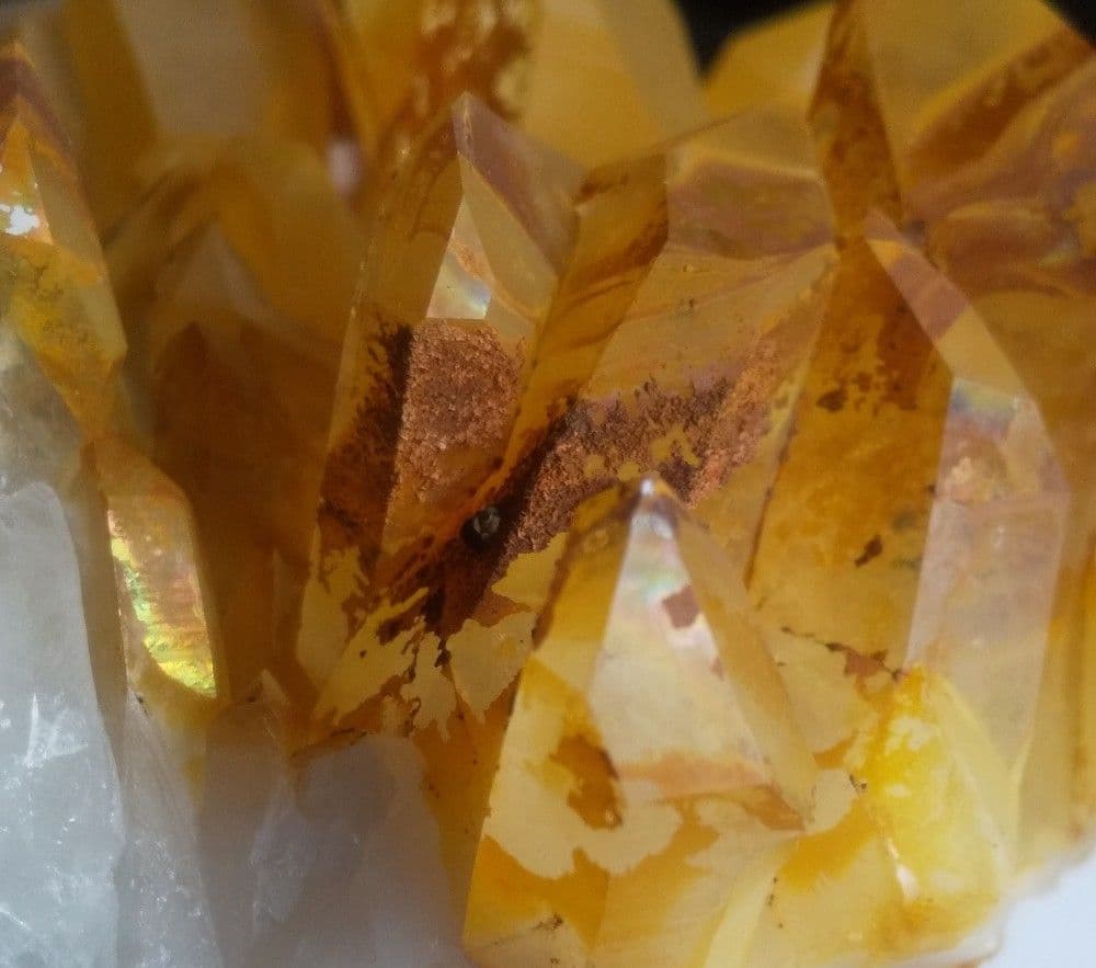 超希少 ゴールデンヒーラー クラスター ギャランティカード付き