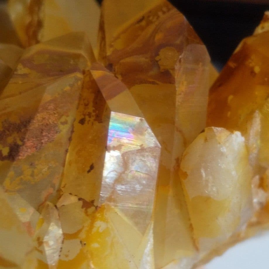 超希少 ゴールデンヒーラー クラスター ギャランティカード付き