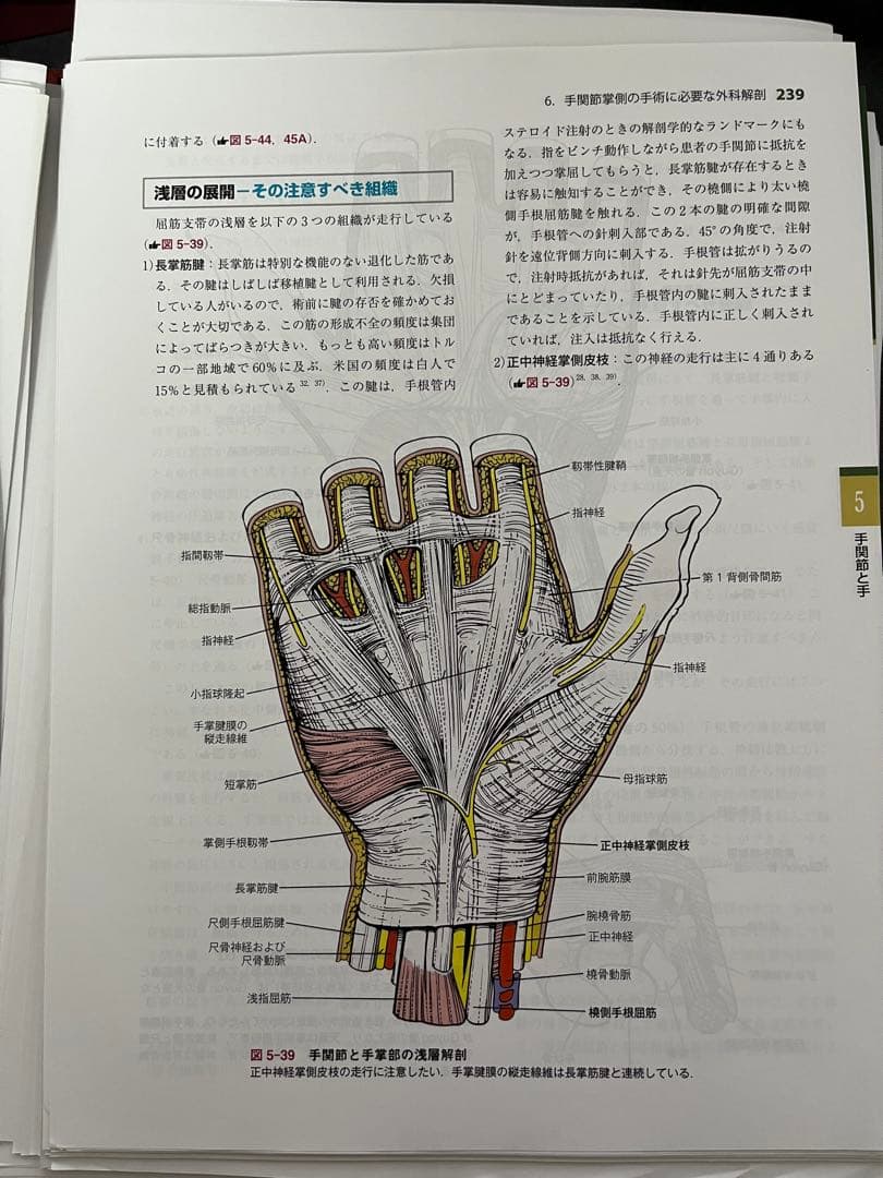 【裁断済】整形外科医のための手術解剖学図説(原書第6版)