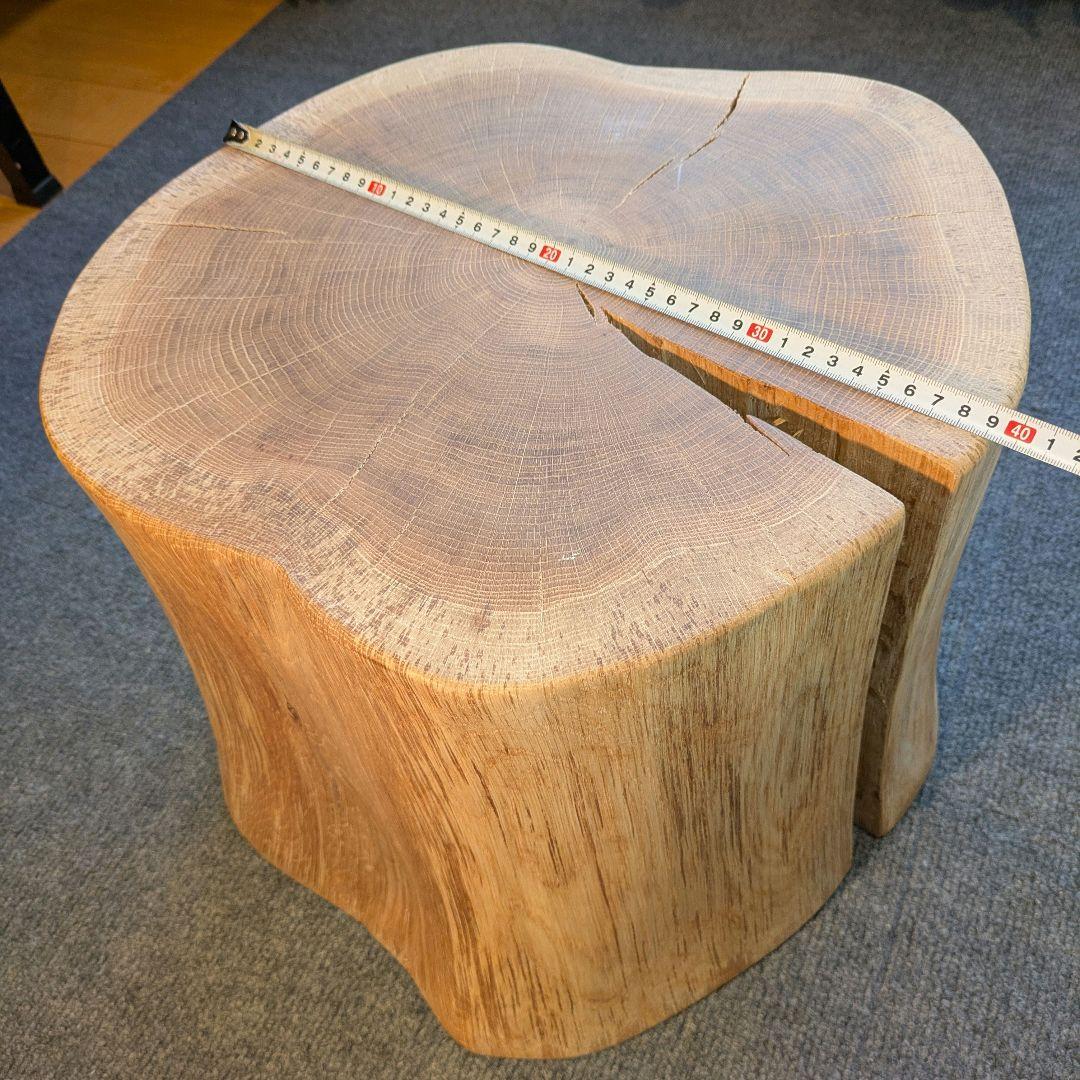 3104　　ミズナラ　水楢　天然木　切り株　丸太　輪切り　高さ約28㎝