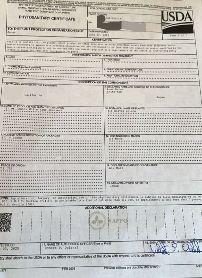 激安価格☆無農薬ホワイトセージ枝付き1kg　業務用価額ＡＡＡ