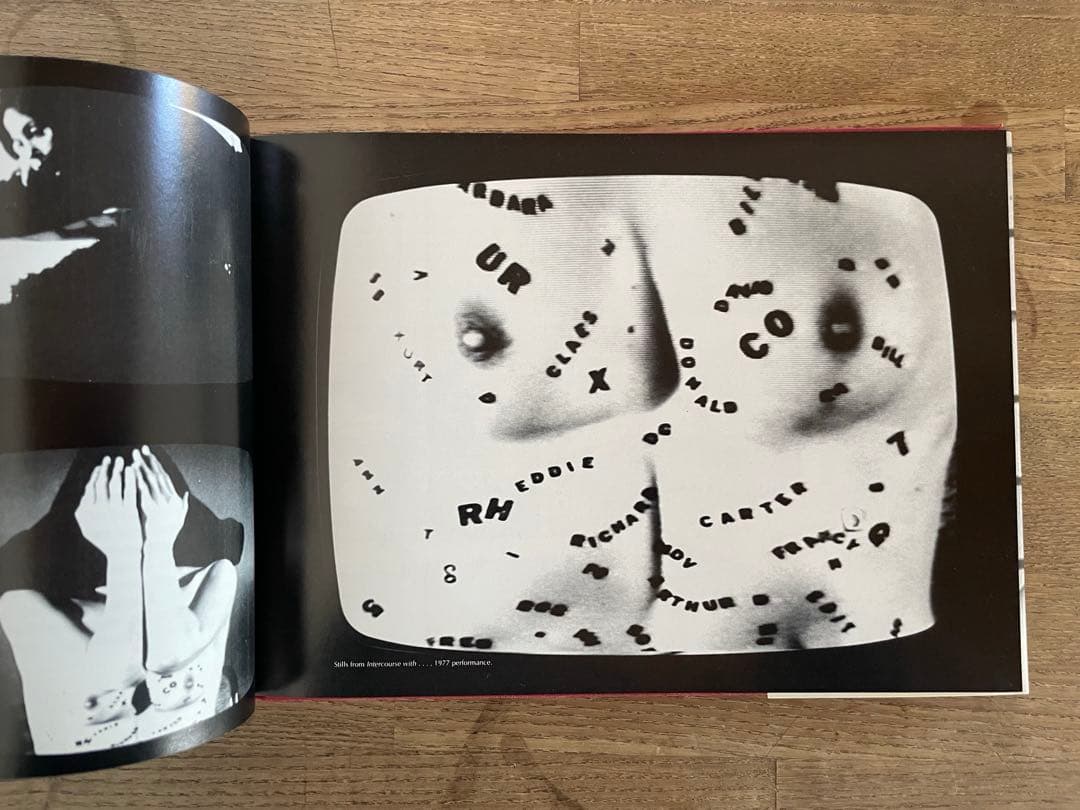 アート・デザイン・音楽 HANNAH WILKE A RETROSPECTIVE