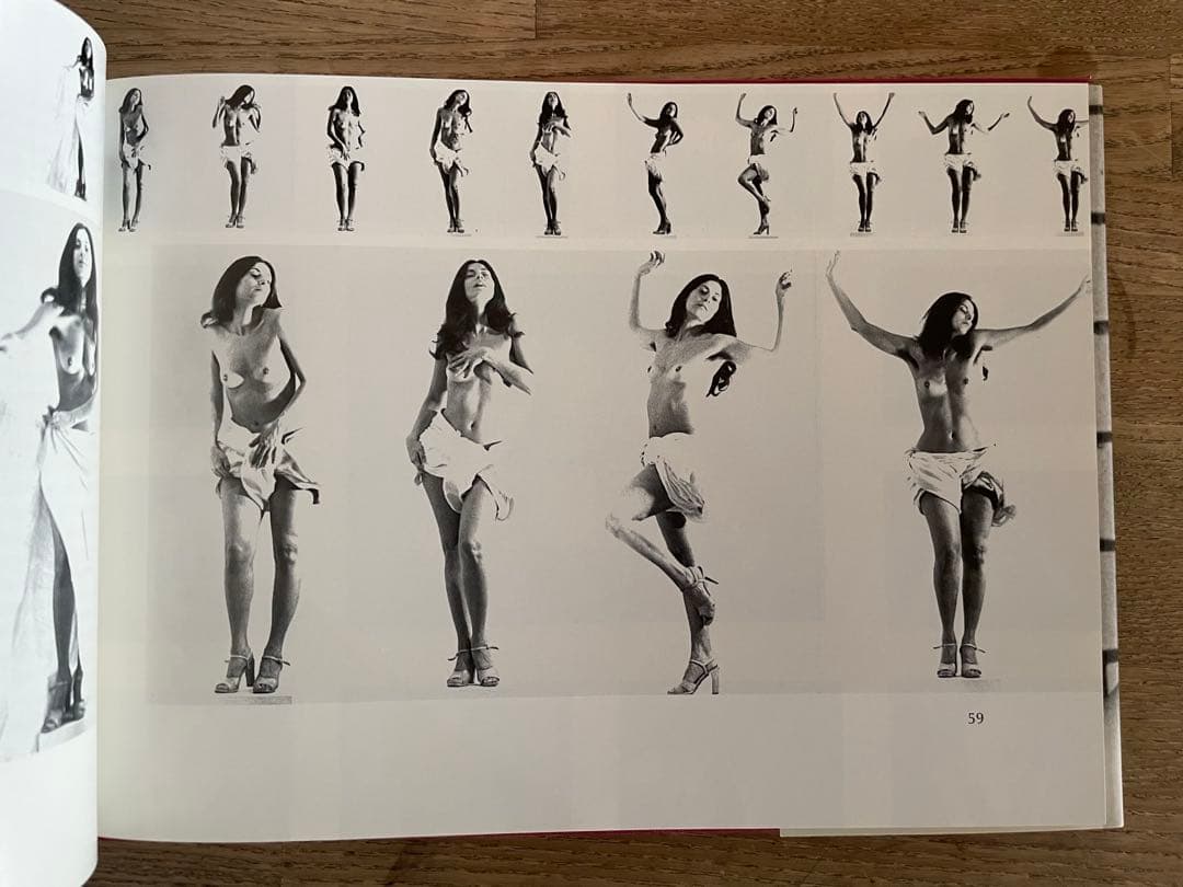 アート・デザイン・音楽 HANNAH WILKE A RETROSPECTIVE