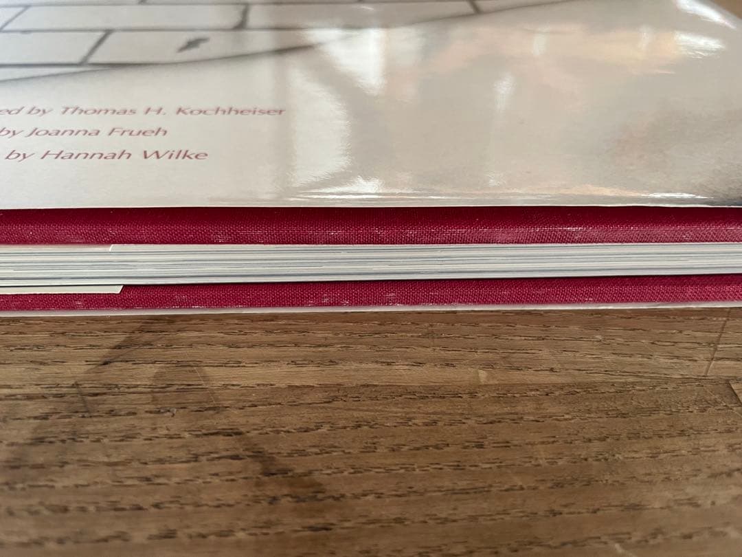 アート・デザイン・音楽 HANNAH WILKE A RETROSPECTIVE