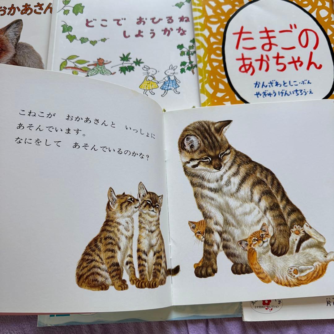 お得 100冊セット 赤ちゃん向け絵本 大人気絵本 こどものとも012 美品