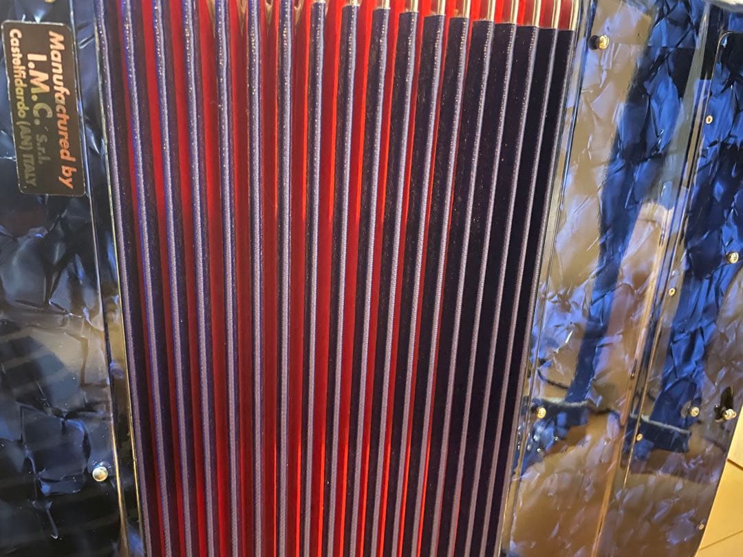 ヒ*ム様 ⭐︎超美品⭐︎Piermaria ボタン式アコーディオン ハードケース