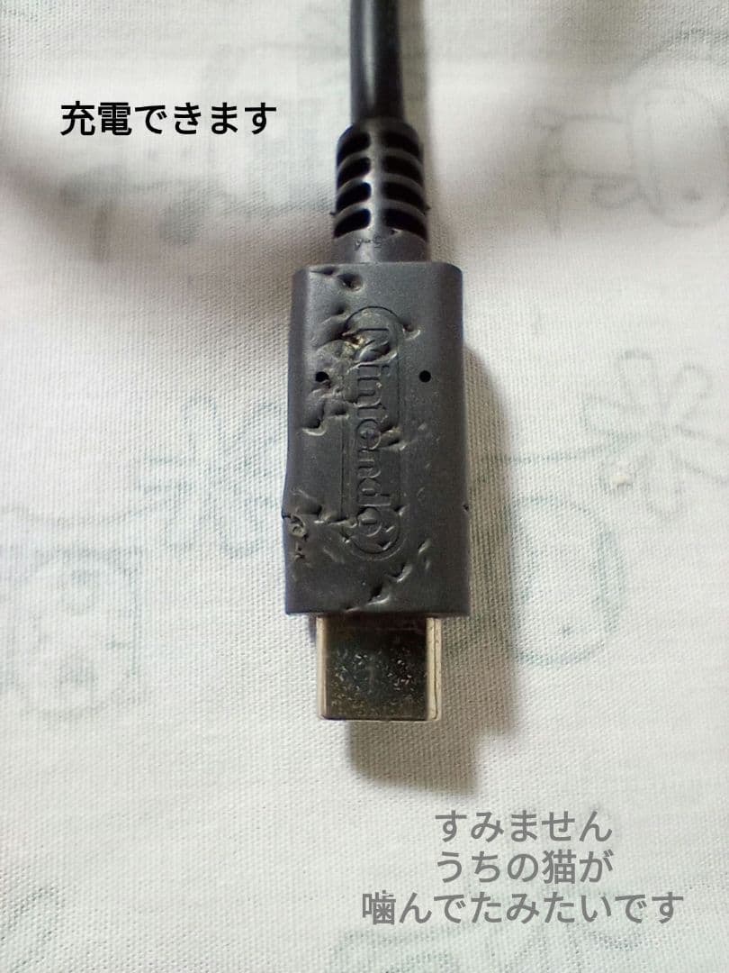 Nintendo Switch Lite コーラル すぐに遊べるあつもりセット