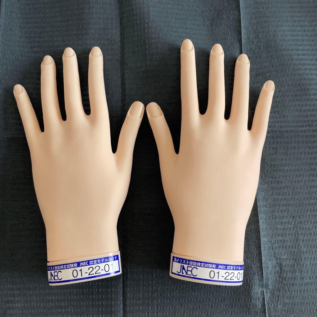認定モデルハンド 両手　骨折無し