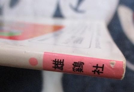 稀少 絶版 おんどりアニメ絵本館　オズの虹の国　雄鶏社 昭和６２年