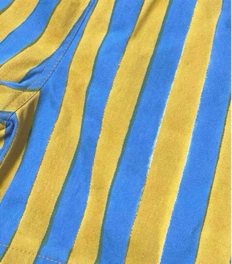 【完売品】希少 廃盤 SZ Blockprints STRIPE SHORTS