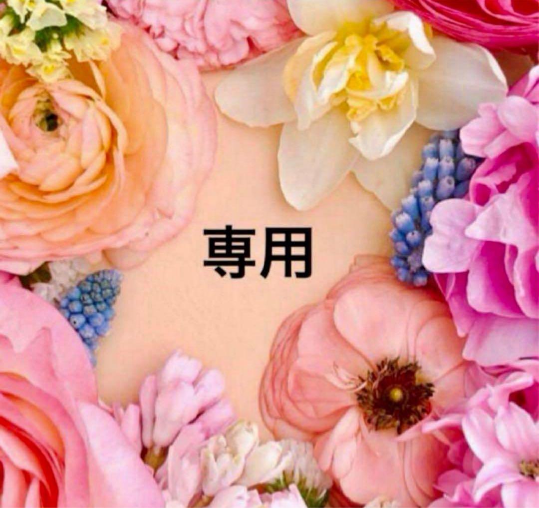 若隠居のススメ1 おまとめ専用①