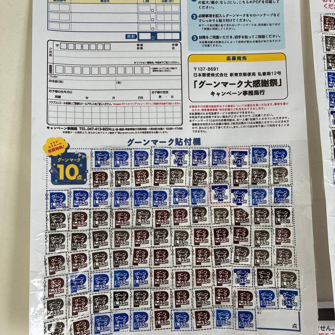 グーンマーク　1004.5ポイント