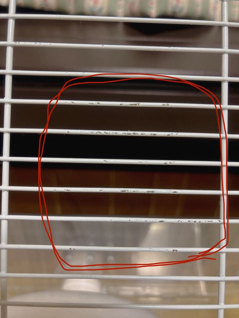 さやページ①(ゲージ)