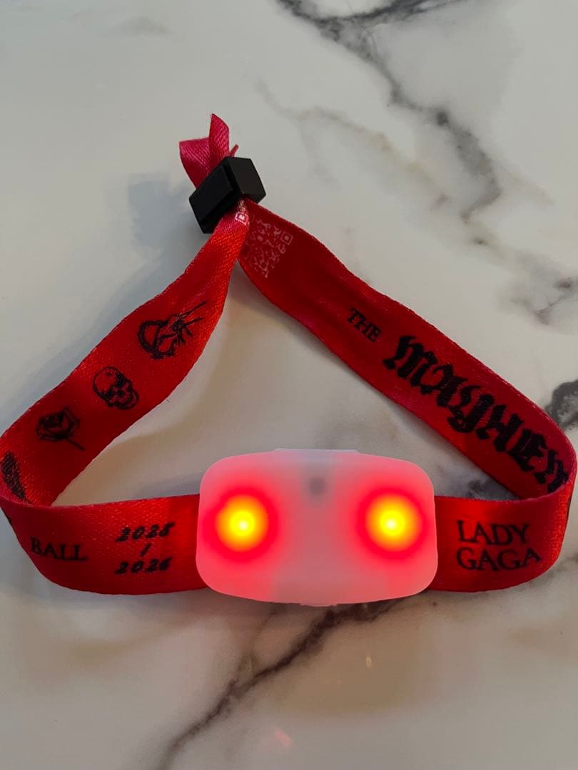 入場者限定品 レディ・ガガ ツアー Tシャツ 入場者特典 リストバンド付き