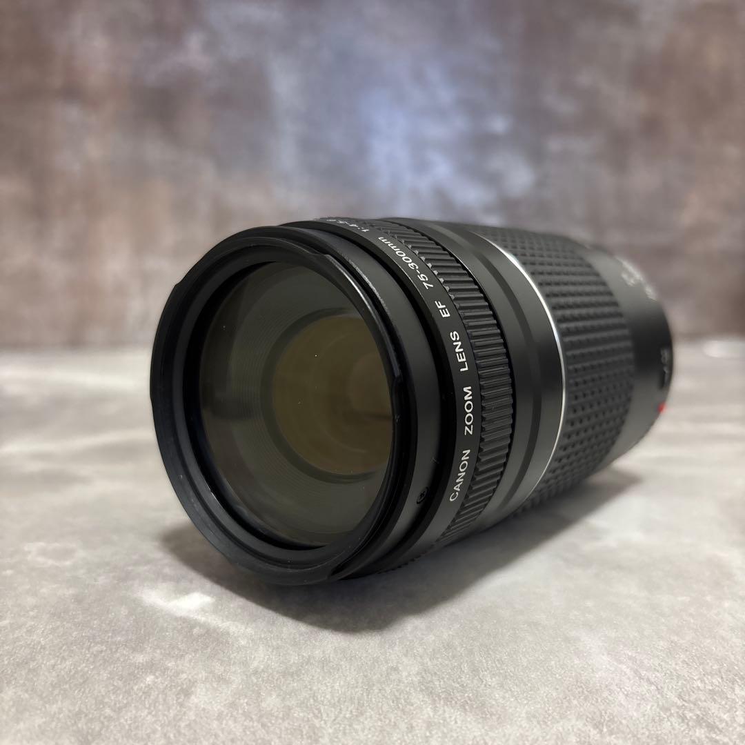 【極上・完動品】Canon EF 75-300mm Ⅲズームレンズ