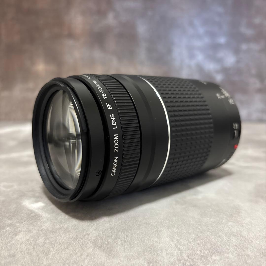 【極上・完動品】Canon EF 75-300mm Ⅲズームレンズ