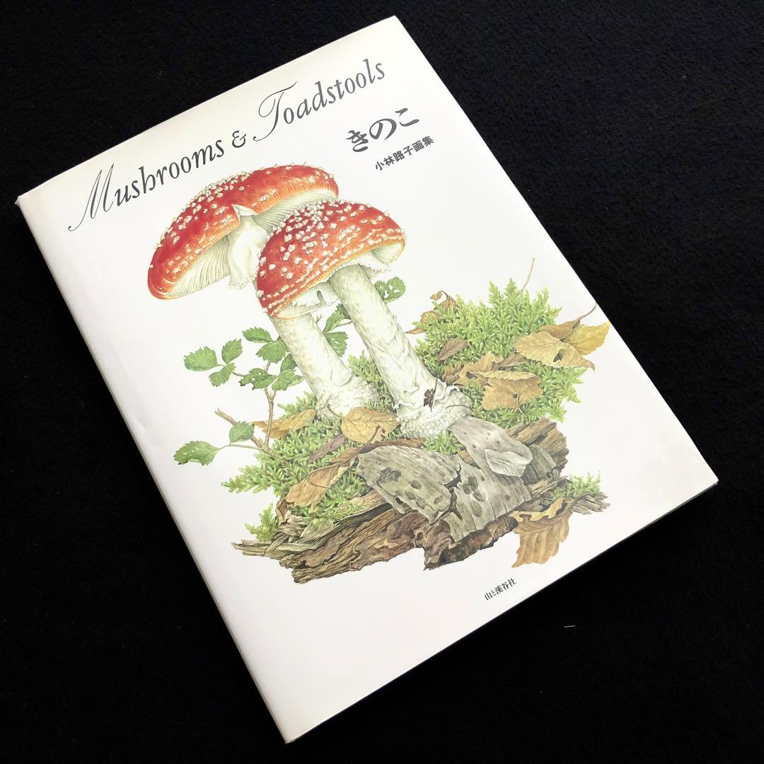 小林路子 画集「きのこ」1993年 初版 山と溪谷社