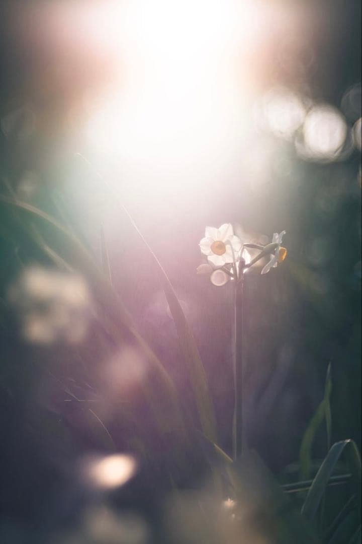 Super Takumar 55mm f1.8【前期型】【超初期ロット】【M42