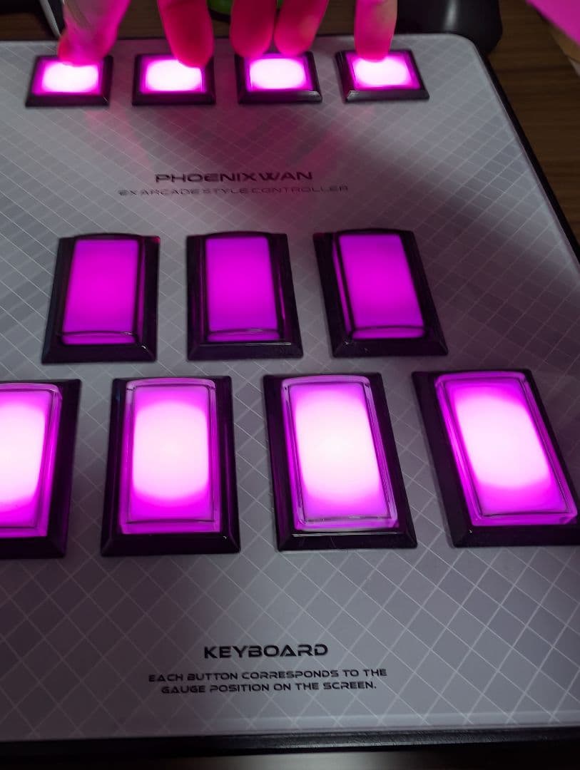 その他 PHOENIXWAN