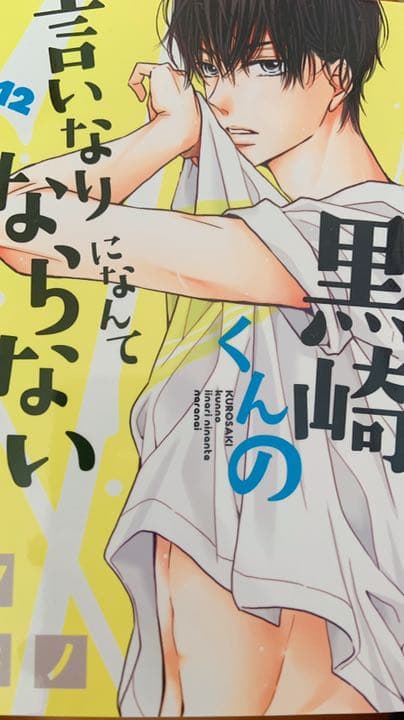 黒崎くんの言いなりになんてならない1～15巻＋黒王子の言いなりになりたい