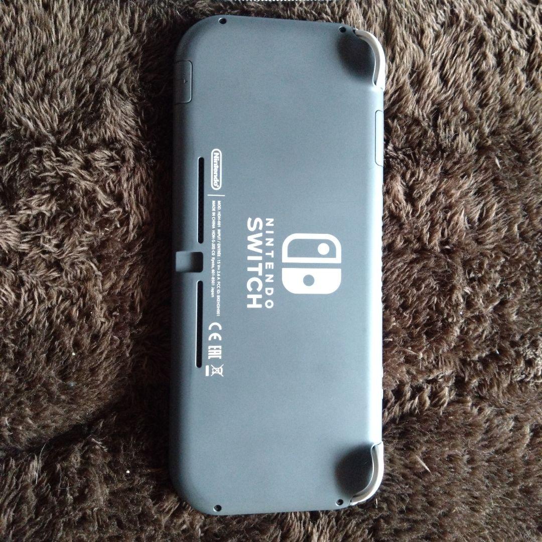 Nintendo Switch Lite グレー　ゲームソフト付き
