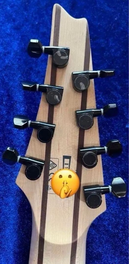 【Ibanez 】RG8PB EMG808 8弦ギター