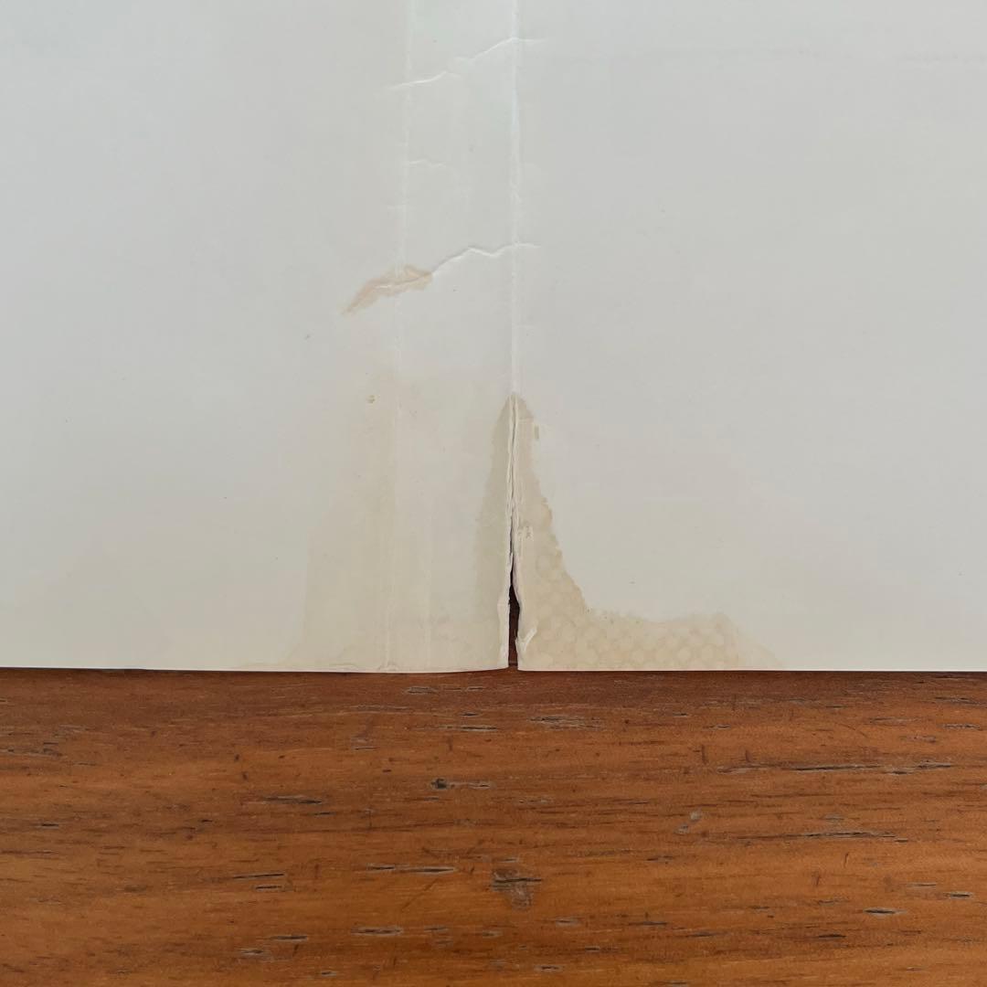 DVD ハイスクール!奇面組 全15巻　全巻セット レンタル落ち