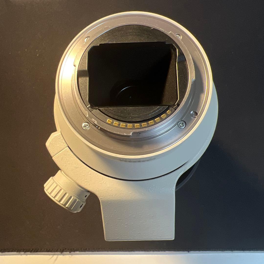 Sony FE 70-200mm F4 G OSS ズームレンズ