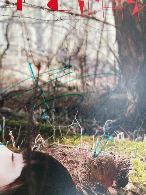 「女の子よ死体と踊れ」新品未開封DVD 映画パンフレット(サイン入り)チラシ付