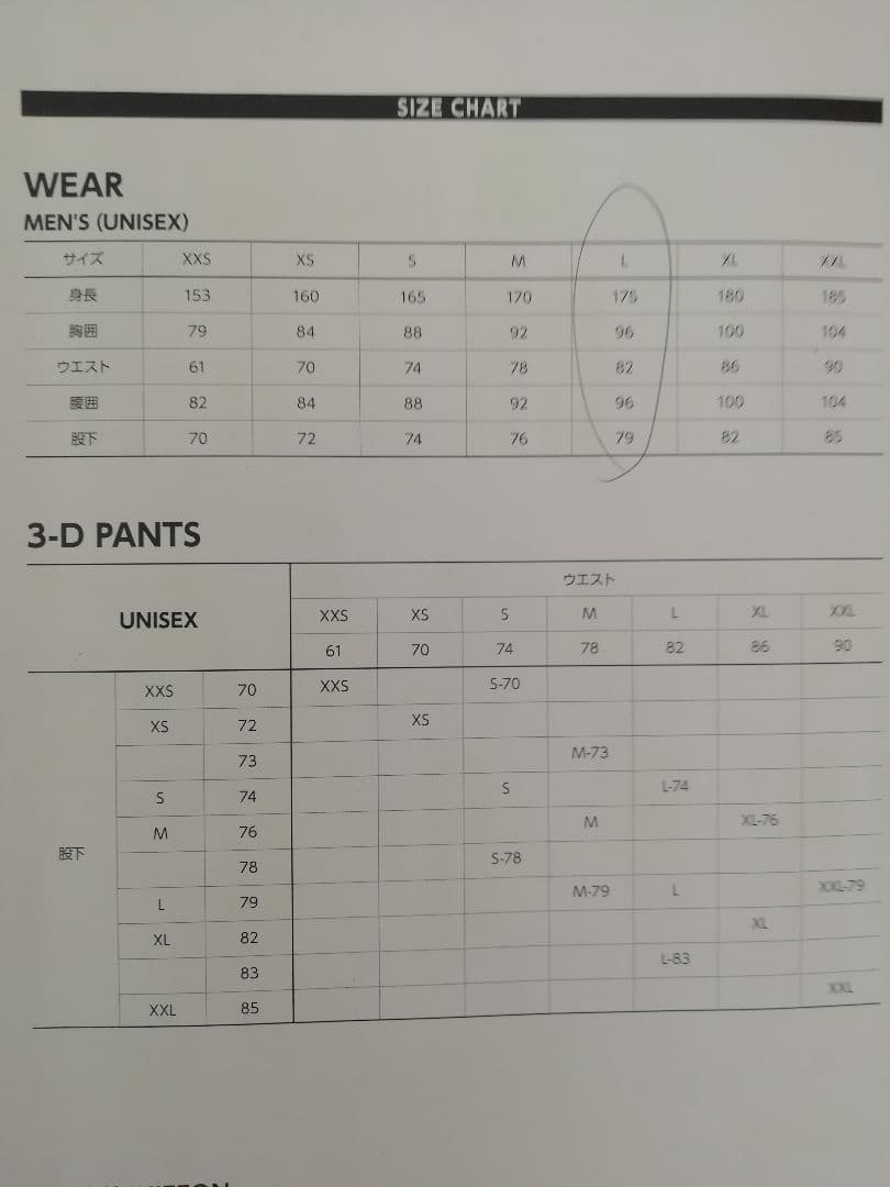 2024モデル　新品同様　Phenix スキーウェア上下セット Lサイズ