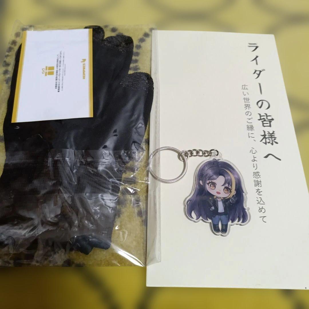 2025モデル HOMPRES電熱グローブ Mサイズ Bタイプ