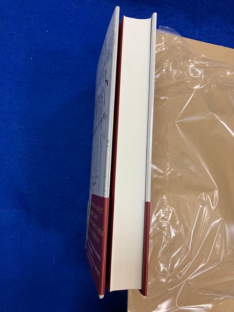 J*L様 シークレット・オブ・ザ・タロット 世界で最も有名なタロットの謎と真実