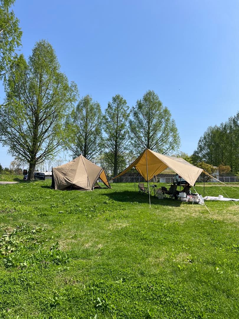 ゼインアーツ ゼクーM 【おまけ付き】