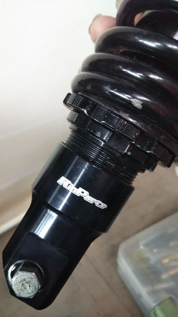 リンパーツ ショートショック ズーマー