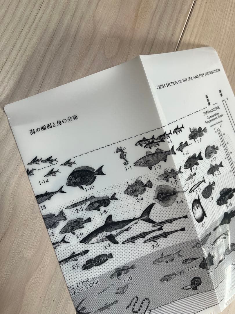 サカナクション　魚図鑑　初回生産限定盤　2CD＋ブルーレイ