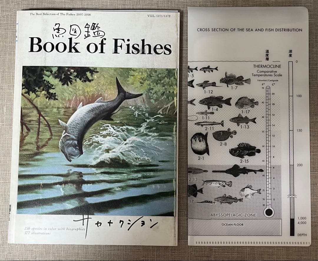 サカナクション　魚図鑑　初回生産限定盤　2CD＋ブルーレイ