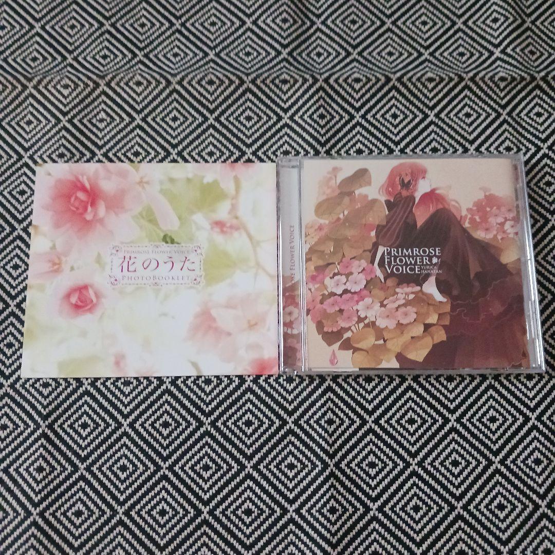 花たん cordelia　セット