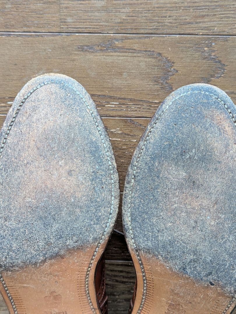 【美USED】Alden 9D セミブローグドレスシューズ／オールデンメダリオン