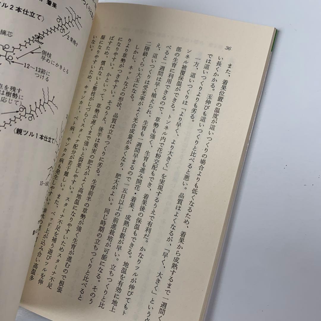 ハウスメロンをつくりこなす : スタミナ・草勢・果勢の診断と調整